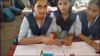 Student-Centered Math Learning Activities