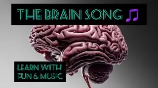 The brain song 🎵 learn different parts of brain with fun and music