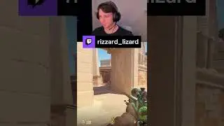 AWP PRO AS USUAL | rizzard_lizard on #Twitch #twitchclips #cs2  #clutch