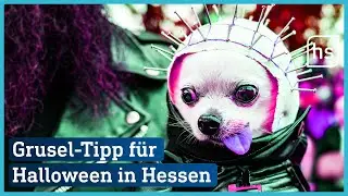 Last-Minute Halloween-Events heute in Hessen | hessenschau