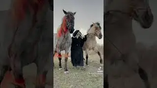Мое старенькое из #тикток #horses #horselovers #funny #изтиктока