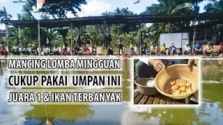 CUKUP PAKAI UMPAN INI DAPAT JUARA 1 DAN JUARA TERBANYAK