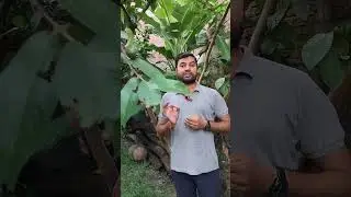 Yoga For One Earth,One Health #IDY2025#nature #shorts #motivation #youtubeshorts #harijhayoga