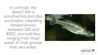 SHELFORD'S LAW OF TOLERANCE