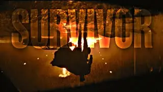 Batman - Survivor