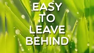 Things that are easy to leave behind, Level 280, Word Crush Answers, 4k.