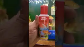 General - Aid | Remove Red Spots and Fungus in Fish | Fish Treatment