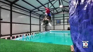 10-year-dog ends dock-diving career on a high note