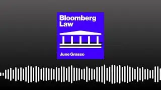 ICE Agent Shooting of Minneapolis Woman | Bloomberg Law