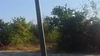 Morning walk in the Dalyan Strait
