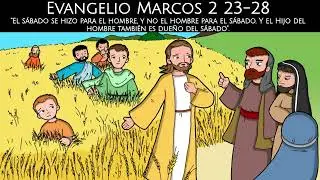 Evangelio Marcos 2 23-28  | 20 Enero 2026