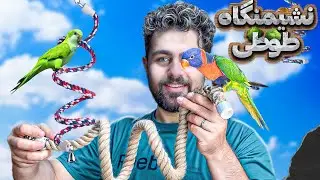 ساخت نشیمنگاه طنابی منعطف برای طوطی ها || rope perch for parrots DIY