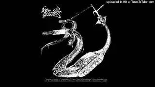 Nerve Abscess - Apartheid Gnaws the Subliminal Intnegrity (FULL ALBUM)