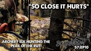 So CLOSE it Hurts! Archery Elk Hunting the Peak of the RUT! S7:EP10