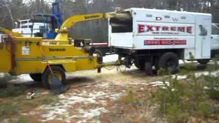 DW Extreme Tree cutting,Browns Mills ,N.J.