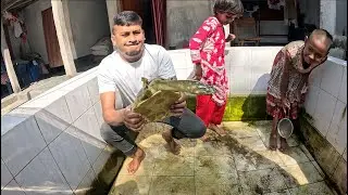 2 Beautiful Girls Fish, Tortoise Catching in Aquarium 4K Ultra HD Relaxing Video