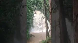 Jaguar Falls Main Waterfall after a brief heavy rain! Wow!