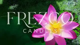 Bliss by Frezco Candles &ndash; K-Pop EDM Fusion of Floral, Citrus & Peach Scent Experience