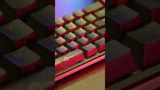 My Spacebar Sounds Like Emotional Damage While My Enter Key Sounds Like My Ex Breaking Up With Me In