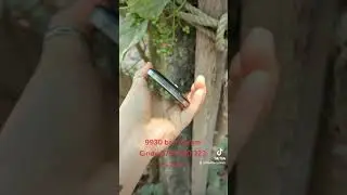BlackBerry 9930V Nocam