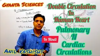 Double Circulation In Human Circulatory System/Pulmonary circulation And Systemic Circulation Hindi
