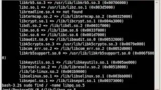 Shared Library Issues In Linux Video