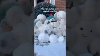 snow day jellycats❄️ #jellycats #foryou #fyp #jellycat #shorts #trending #viral #fun #cute #popular