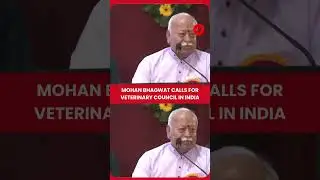 Mohan Bhagwat calls for middle path in stray dog debate, backs sterilisation