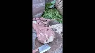 😌 Satisfying Farming ASMR 🌾 Smart Farming Tricks & Natural Sounds #asmr
