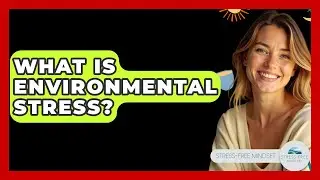 What Is Environmental Stress? - Stress Free Mindset