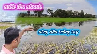 Nước l&ecirc;n nhanh :