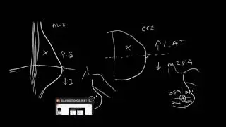 Posicionamento Mamográfico- Conceitos