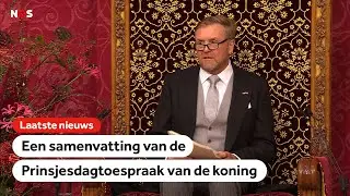 Koning in Troonrede over polarisatie, de economie en Gaza