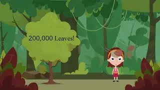Protect Wisconsin Waterways: Leaf Collection
