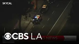 Hit-and-run suspect flees from crash with LAPD patrol car in Porter Ranch