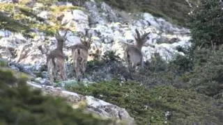 Paseo por la Sierra de Yunquera