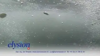 Elysion - Ionisiertes Wasser