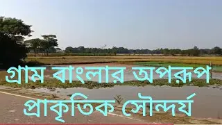 গ্রাম বাংলার অপরূপ প্রাকৃতিক সৌন্দর্য | গ্রামের অপরূপ দৃশ্য