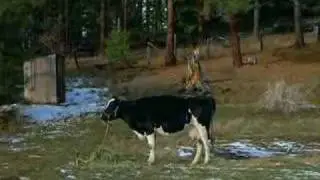 Northern Exposure Chris (John Corbett) Fling Opening Scene