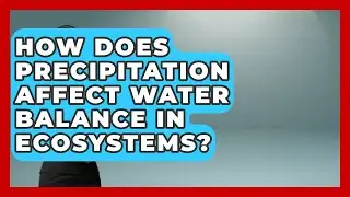 How Does Precipitation Affect Water Balance in Ecosystems? | Water Science For Everyone News
