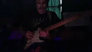 Practice 735 The Bossa Nova Slovak Blue Monkey
