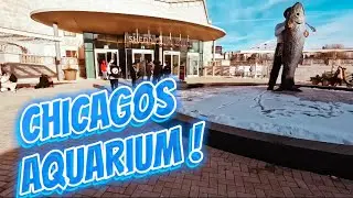 Family time at the aquarium🐠