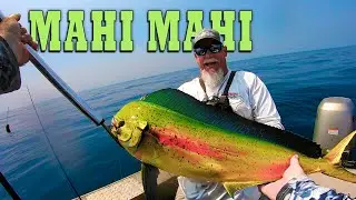 Fishing for Mahi Mahi In The Atlantic Ocean: Pots Hopping Adventure!