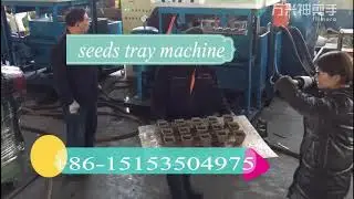 biodegradable paper pulp making seeds cup machinery/flower pot machine/seeds tray machinery