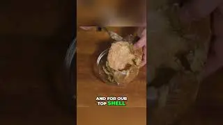 Preparing a Real Life Mirelurk! (How to Clean Crab)