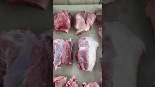 Hog processing