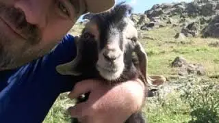 Beni gurbet elde bırakma gardaş. ...