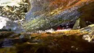 4K Cyprus - Autumn Creek