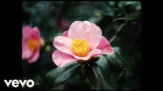You Are Wolf - As Sylvie Was Walking (Official Video)