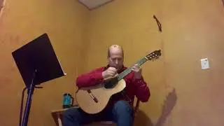 Classical Guitar - Julia Florida composed byAugustine Barrio Mangore played by Blaine McLaughlin